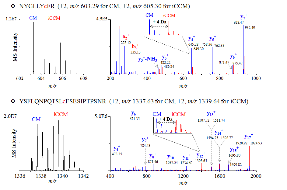 Mass spectra and tandem mass spectra of hGH peptides including cysteine residues.