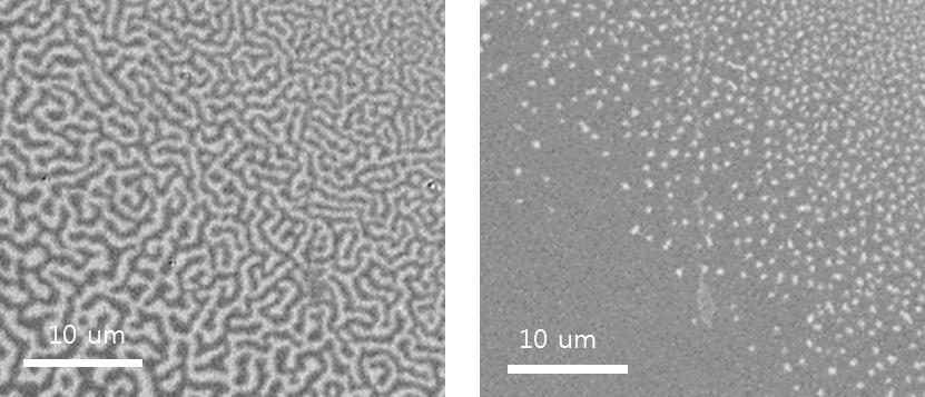 dendrite 상태와 bubble domain 상태.