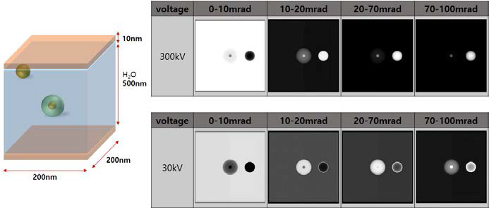 10 nm 두께를 가지는 BN 멤브레인을 이용하여 제작된 액상셀 내에 존재하는 나노입자의 이미지