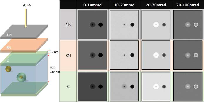 10 nm 두께를 가지는 SiN, BN, carbon 멤브레인을 이용하여 제작된 액상셀 내에 존재하는 나노입자의 이미지