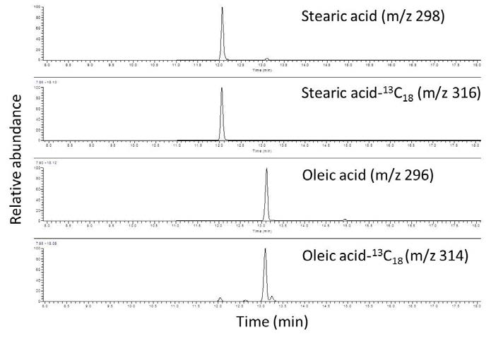 Chromatograms of fatty acids in infant formula