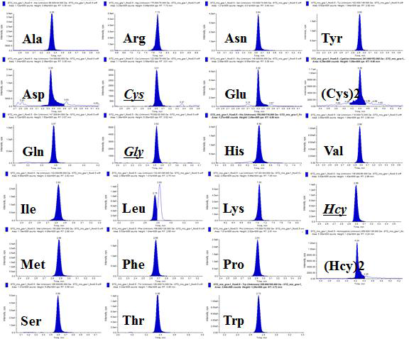 Chromatograms of amino acids by LC-MS/MS