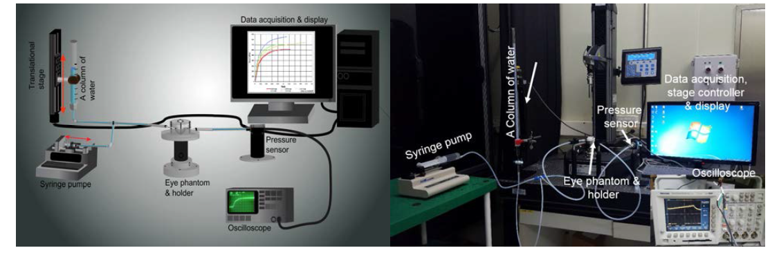 (Left) Schematic diagram for pressure control and measure system for an artificial eye phantom and its photographic Image (Right)