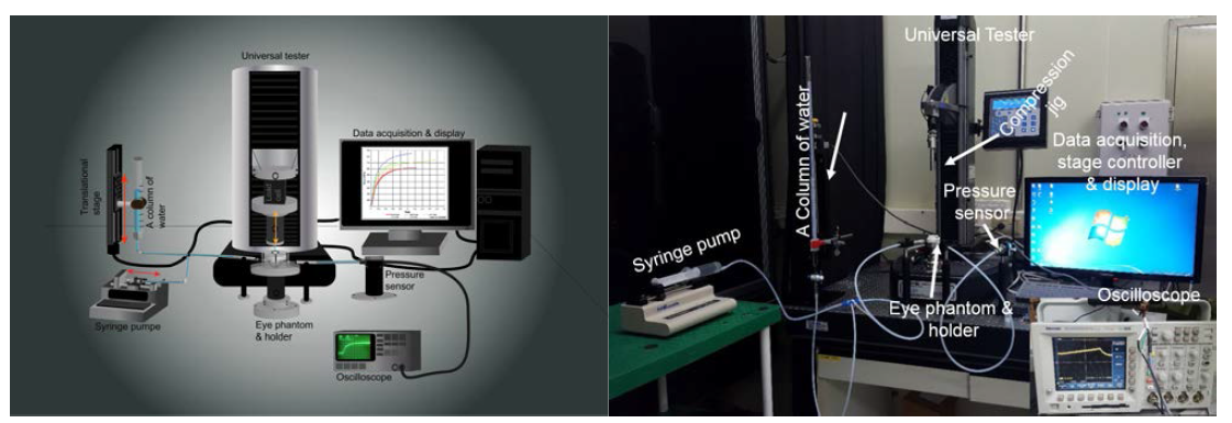 Schematic diagram (left) and its photographic image (right) of developed tonometer for an artificial eye