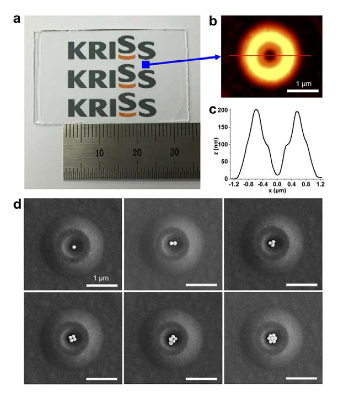 나노입자의 self-assembly를 위한 3차원 링 구조체 어레이 투명기판