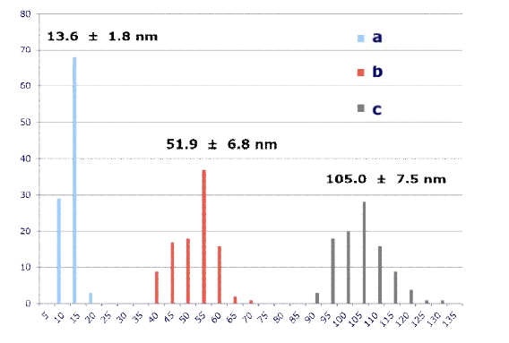 SEM 데이터에서 얻어진 금 나노입자의 사이즈별 size distribution