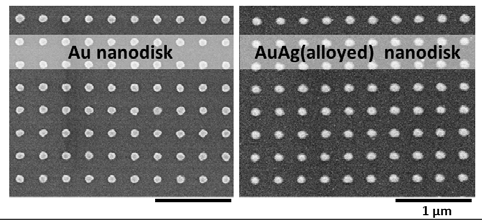Glass 기판 위에 제작된 (왼쪽) Au 나노입자, (오른쪽) Au-Ag(alloyed) 나노입자
