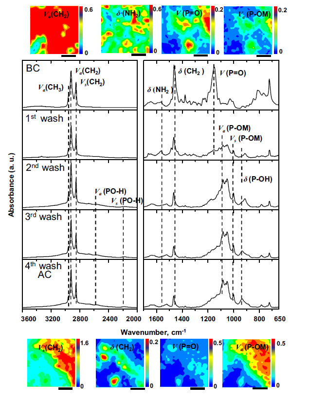 IR spectroscopy를 통해 purification step 데이터