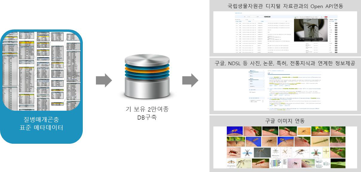 원시데이터인 국내·외 질병매개곤충데이터베이스 구축