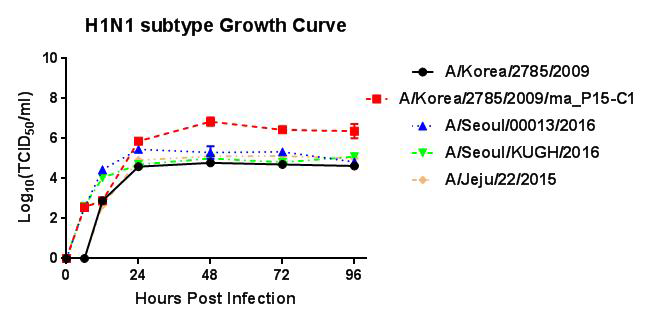 H1N1 아형 인플루엔자 바이러스의 성장특성 분석