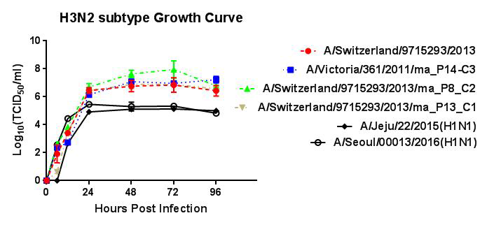 H3N2 아형 인플루엔자 바이러스의 성장특성 분석