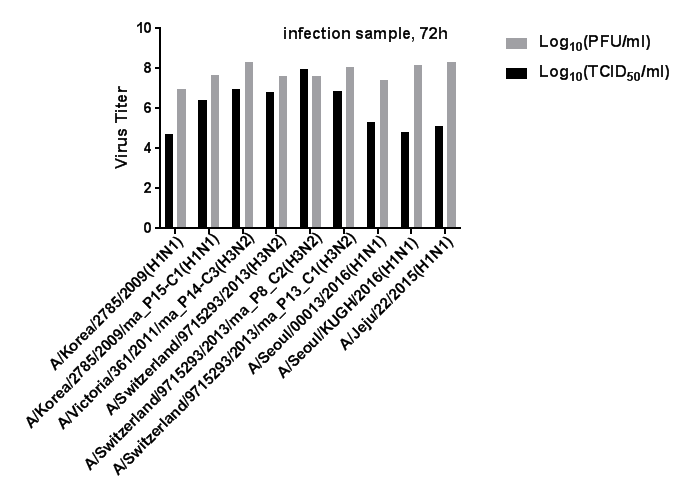 Plaque assay등 에 의한 바이러스 역가 비교 (72시간째)