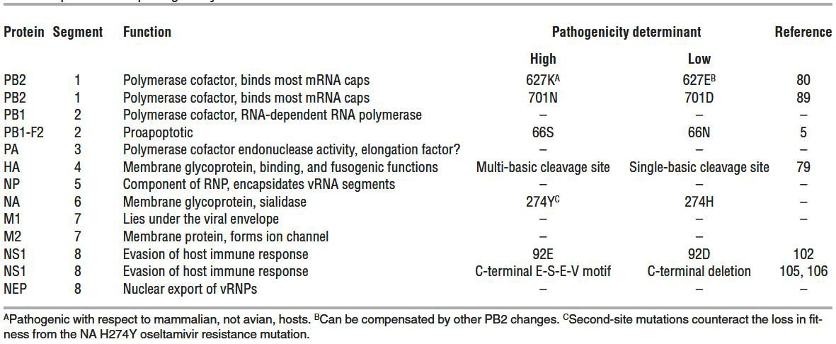 인플루엔자 바이러스 유전자에서의 병원성 결정 인자