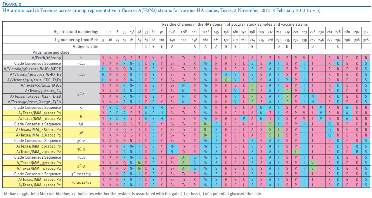 A/H3N2형 clade에 따른 주요 항원 변이 분석 (Stucker 등)