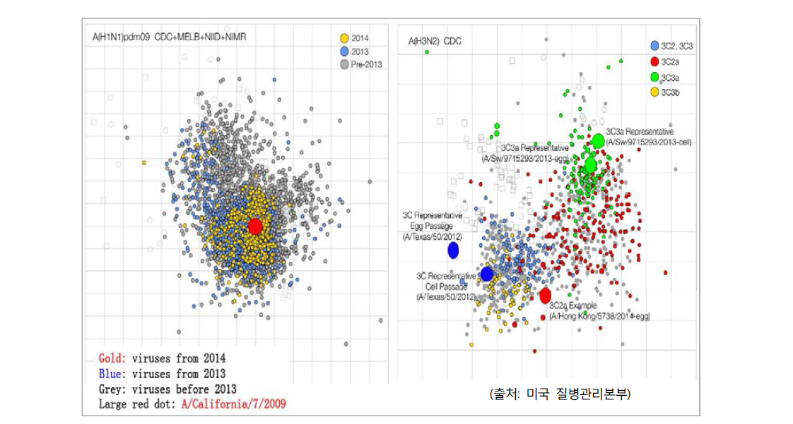 A/H1N1형 및 A/H3N2형 변이 분석도 (Antigenic cartography), 2014.09~2015.01