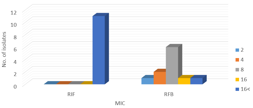 Ser531Leu 변이에 따른 RIF과 RFB의 MIC 분포