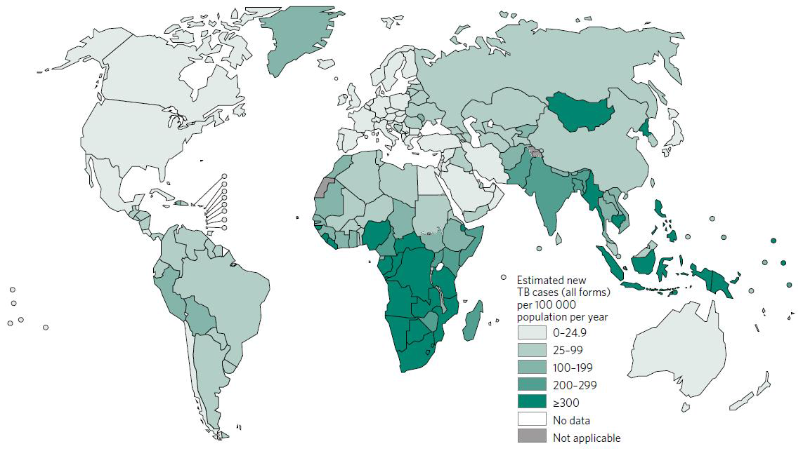2015년 국가별 결핵환자 발생률 (2016 WHO report)