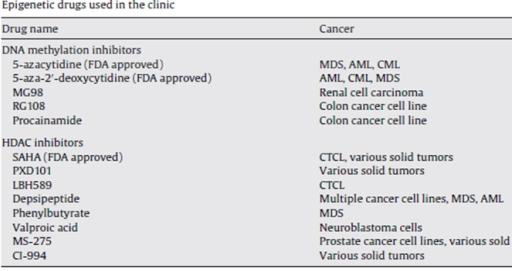에피유전체관련 질병치료제의 현황, Mutation Research 2008
