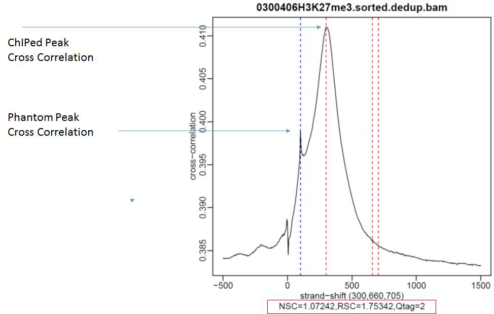 H3K27me3 ChIP-Seq에 대한 Cross Correlation 그래프