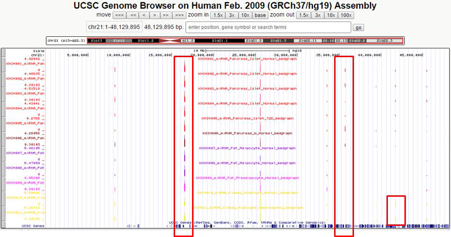 miRNA-Seq 데이터를 UCSC genome browser를 이용한 시각화