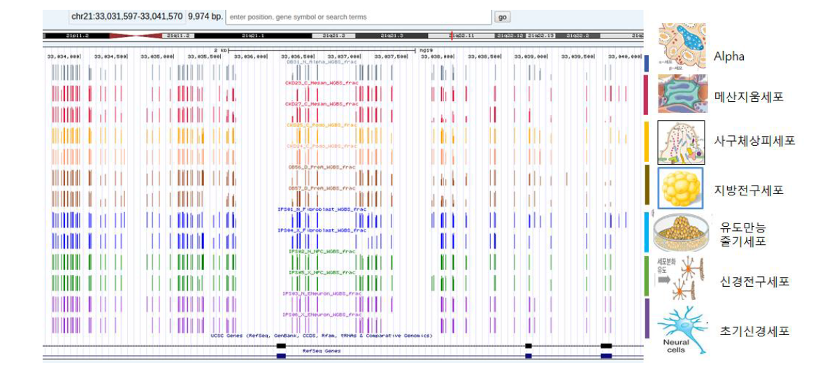 한국인에피유전체 사업 13종 공개데이터의 웹공개 UCSC genome browser 캡쳐1 화면