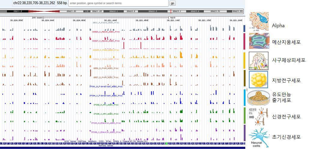 16년 공개 13종 데이터의 WGBS 에피유전체 지도 UCSC genome browser