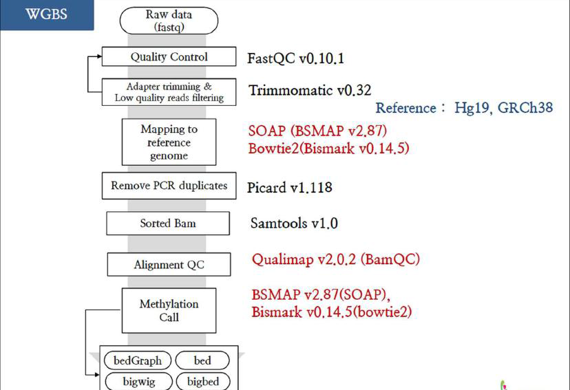 에피유전체 분석 파이프라인 구축, WGBS 분석 파이프라인 예시, Trimmomatic을 이용하여 저품질 리드를 걸러낸 후 SOAP와 Bowtie2를 이용하여 genome 상에 맵핌을 함, PCR Duplicate는 Picard를 이용해서 제거후, 생성된 bam 파일을 이용하여 Qualimap 프로그램을 통해 Bam파일QC를 진행함, QC된 Bam 파일을 기반으로 BSMAP, Bismark 프로그램을 각각 이용하여 methylation call 파일을 생성하며 후속 분석에 사용