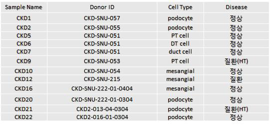 분석에 사용된 신장세포 12종
