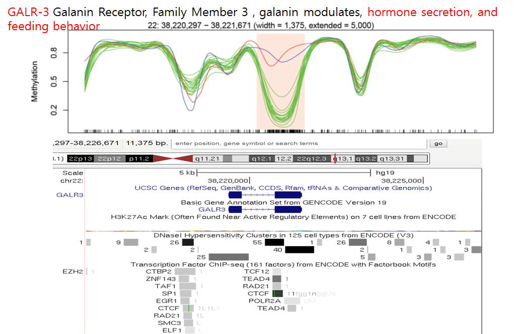 췌장 관련 세포를 이용하여 정상 당뇨간 비교분석을 통한 DMR 마커 발굴, GALR3 유전자 부위가 마커로 발굴되며, 에피유전체 관련 전사조절인자인 CTCF의 결합부위와 강하게 연관되어 있음을 알 수 있음