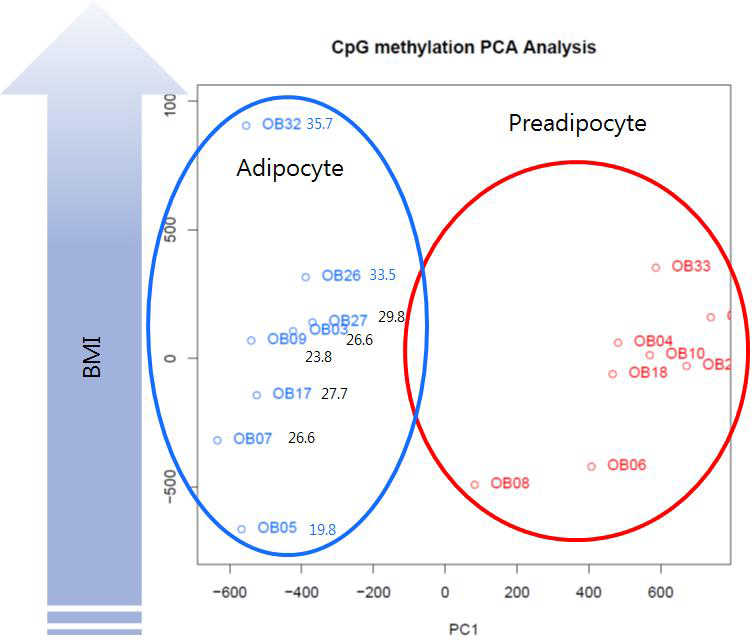 비만 관련 타겟세포 WGBS를 이용한 PCA 분석, Adipocyte와 Preadipocyte가 잘 구분되며, 특히 BMI 수치와 메틸롬 변이 PC2가 상관관계를 보임