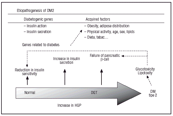 제2형 당뇨병 발생(발병) 메카니즘
