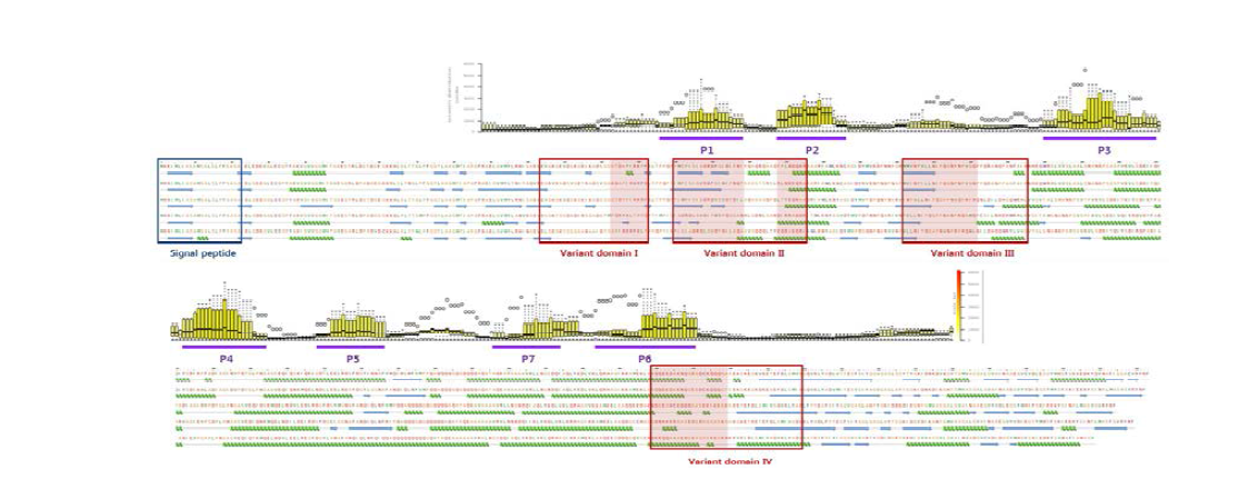 2D structure analysis of TSA56 from major serotype of O. tsutsugamushi
