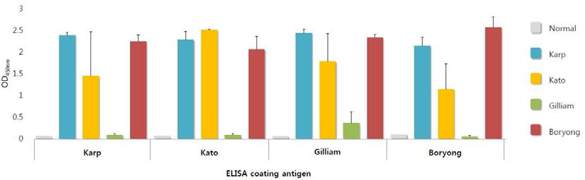 The results of mouse sera reactivity with 56-kDa OMPs from O. tsutsugamushi Karp, Kato, Gilliam and Boryong strain.