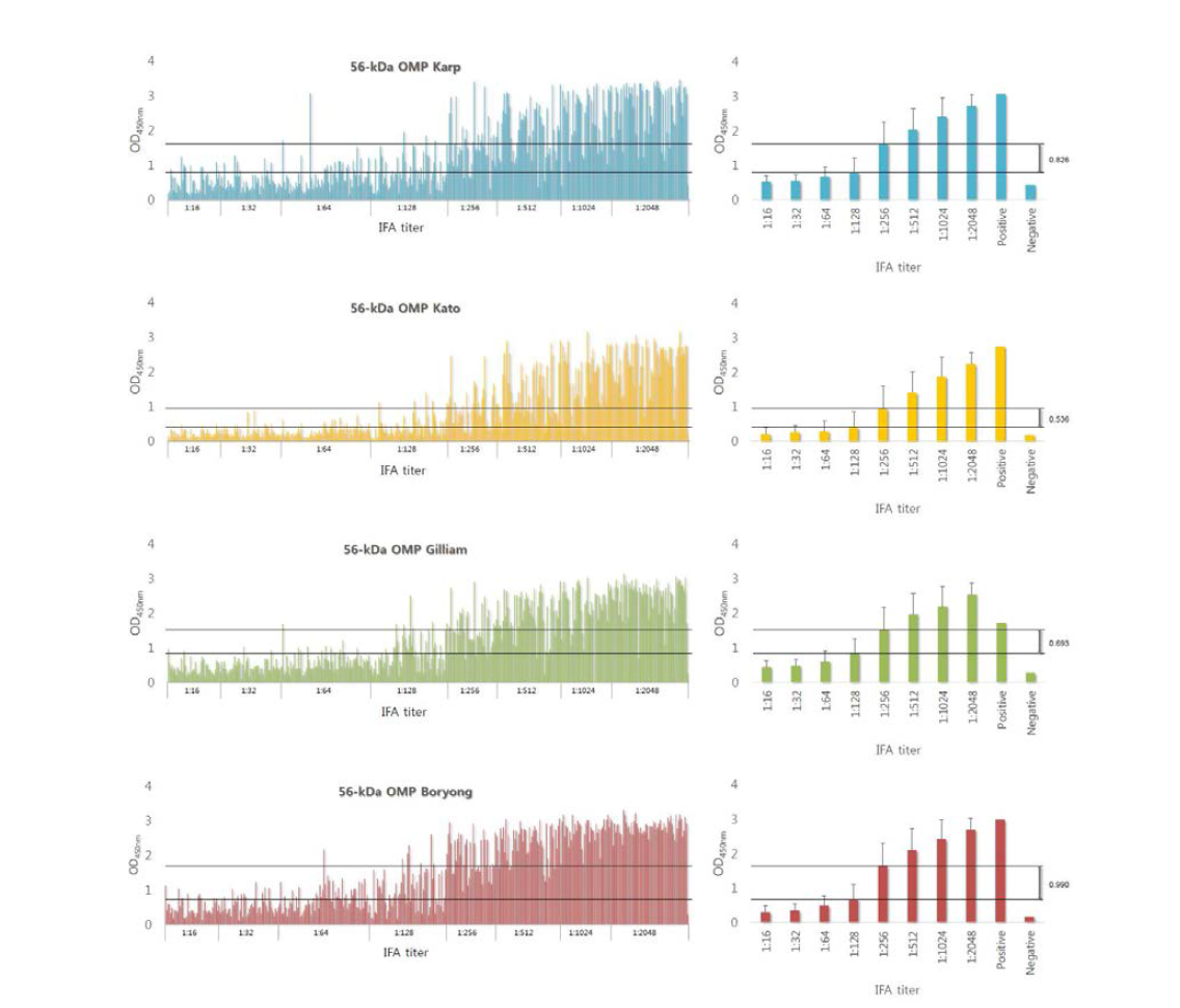 Profiles of indirect ELISA with TSA56 proteins from O. tsutsugamushi Karp, Kato, Gilliam and Boryong strain.