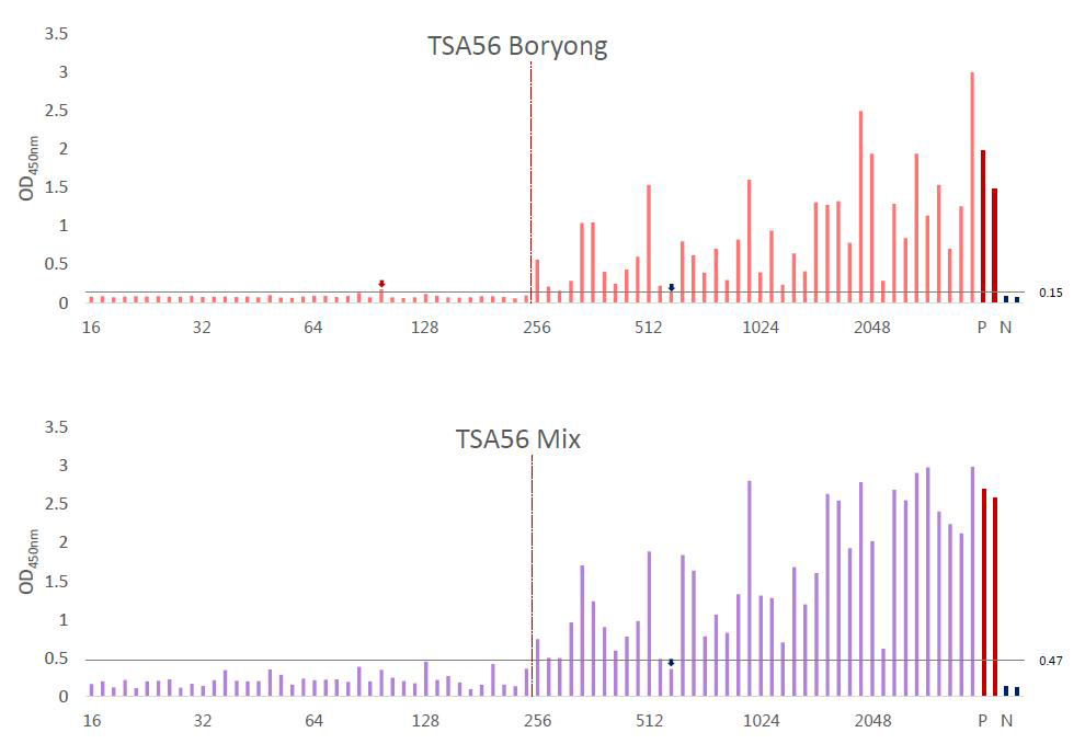 Profiles of indirect ELISA with mixture of TSA56 proteins (TSA56 Karp, Kato, Gilliam and Boryong) and TSA56 Boryong. (coating antigen concentraion : 0.5 ug/ml)