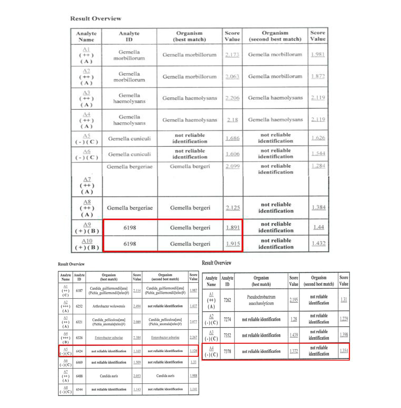 신종 후보주 ND 6198, 6424, 7378 각각에 대한 MALDI-TOF MS 단백체 패턴 분석