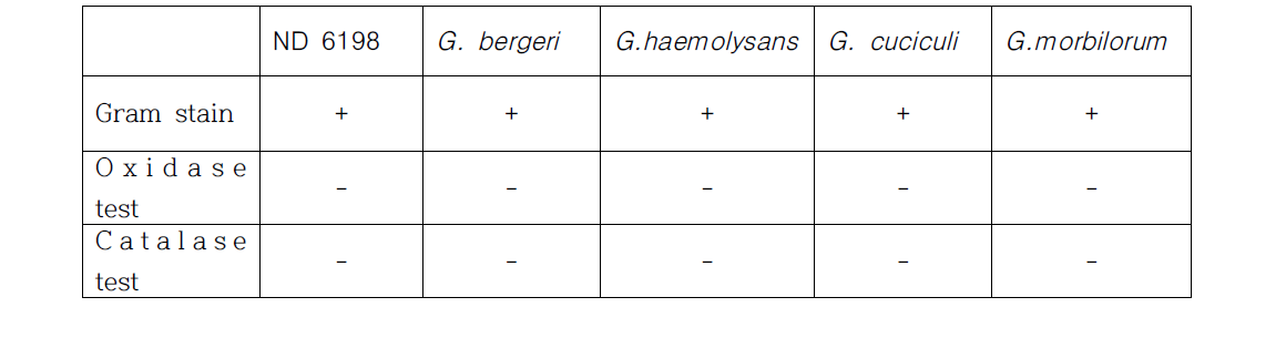 Gram stain, Oxidase, Catalase 비교 분석