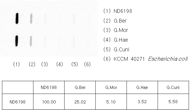 ND 6198과 대조균주의 DNA-DNA hybridizaition 분석 결과