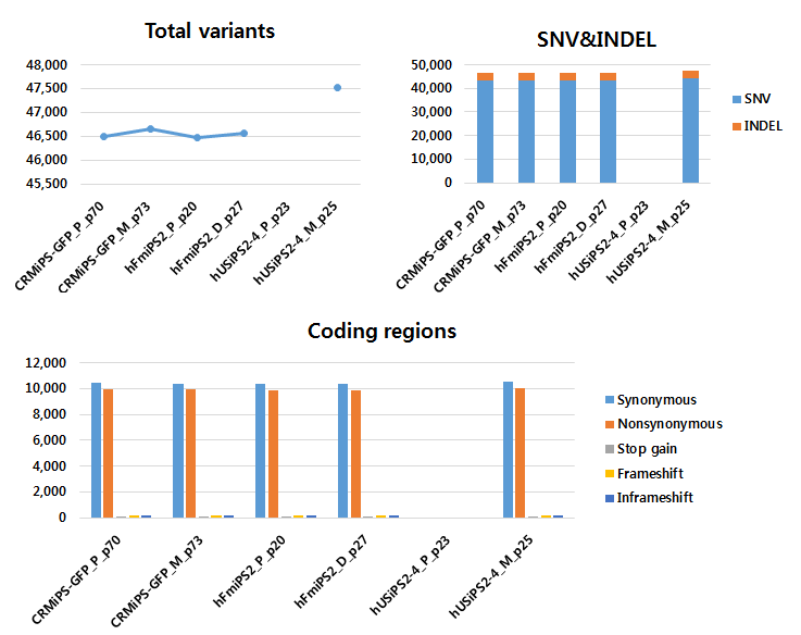 2015년 뱅킹 줄기세포주 SNV, INDEL변이 및 기능별분포