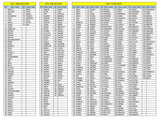 유전체 특성분석에 이용한 미분화, 분화, 암관련 유전자 리스트