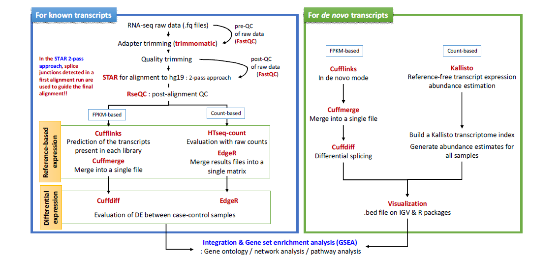 RNA-seq 분석 파이프라인 모식도