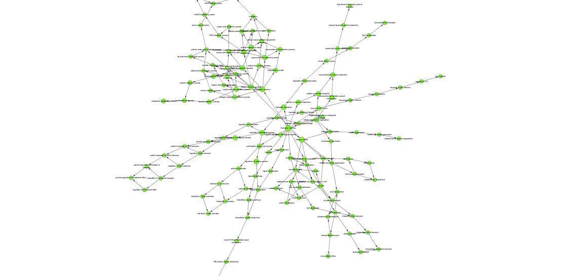 Cytoscape 의 BiNGO 패키지를 활용한 network 분석