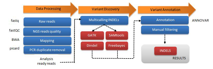 INDEL 변이 분석 흐름도