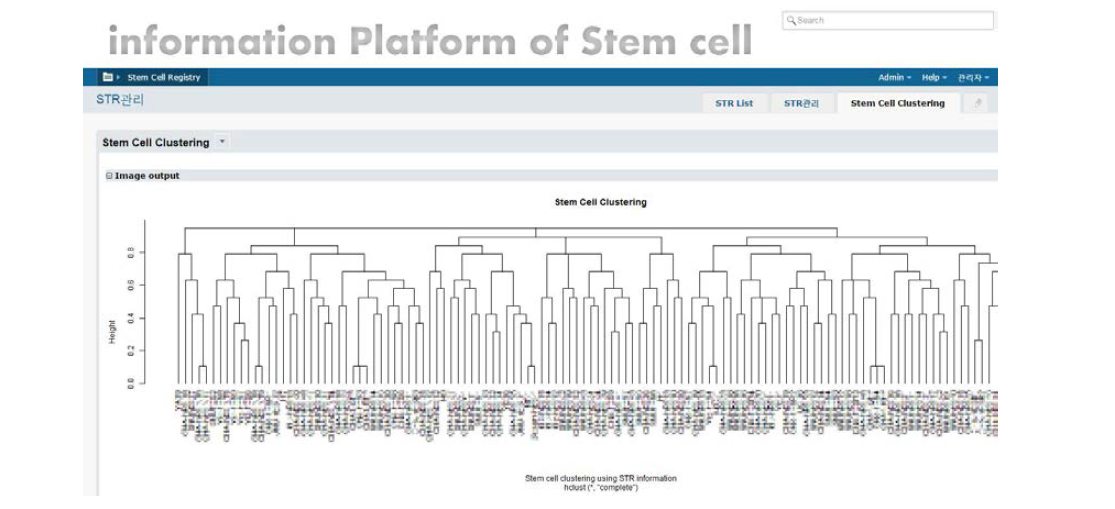 줄기세포주 등록제 STR Clustering을 통한 특성 분석