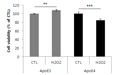 ApoE3/E4 과발현 세포주의 oxidative stress에 대한 cell viability