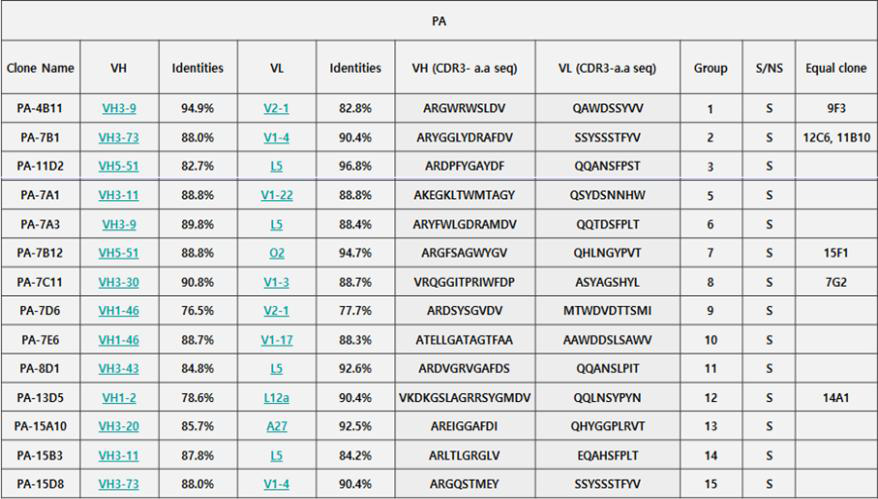인간항체 library에서 선별된 PA 인간항체 후보 목록