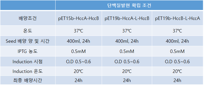 최적의 단백질 발현 조건