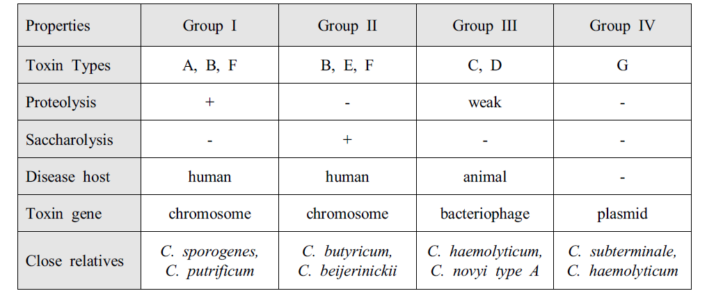 Phenotypic groups of Clostridium botulinum