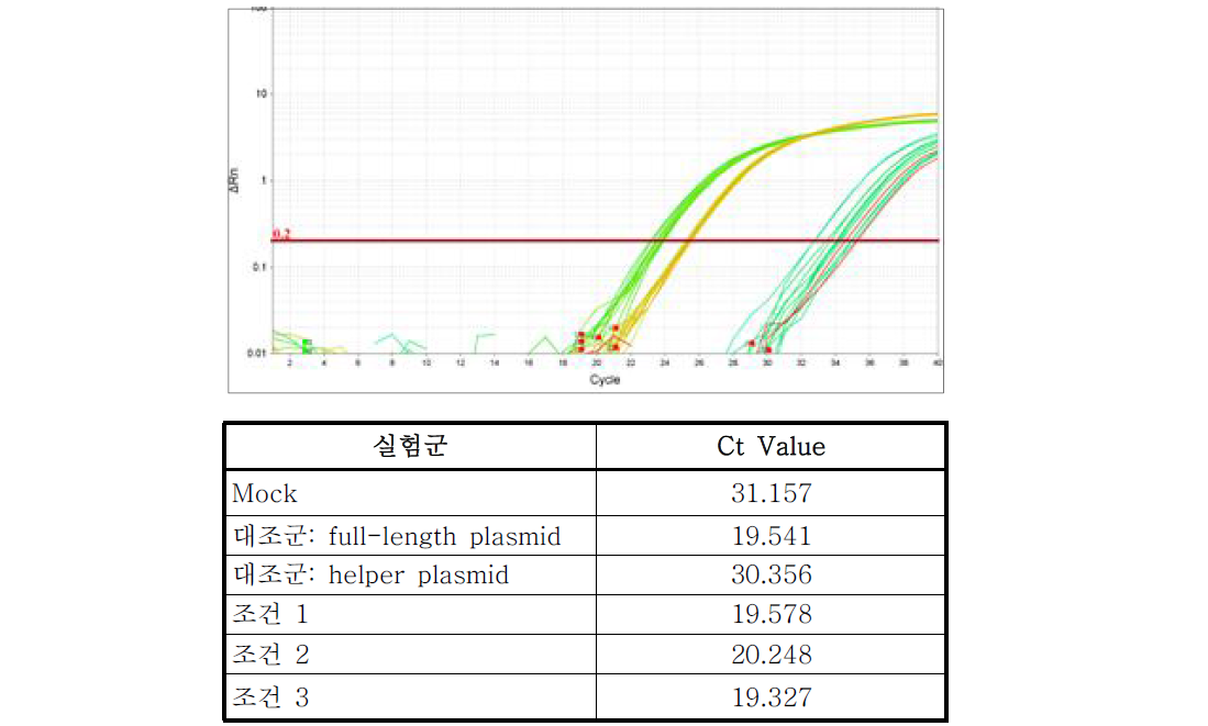 qRT-PCR을 통한 유행성이하선염 바이러스 제작여부 분석결과