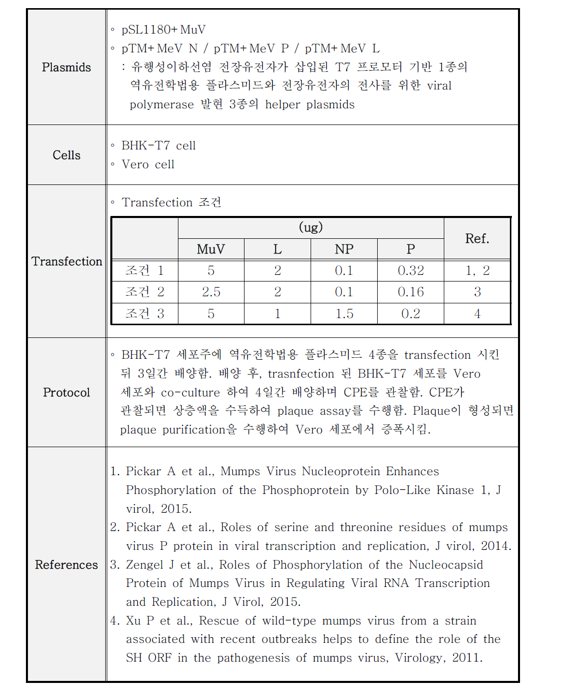 재조합 유행성이하선염 바이러스 제작 시도